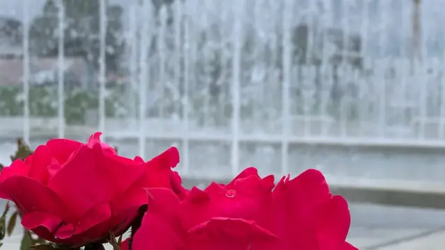 Zagreb, 2019. godine