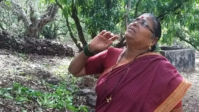 कोकणातल्या हापूस आंब्याला चक्रीवादळाचा तडाखा