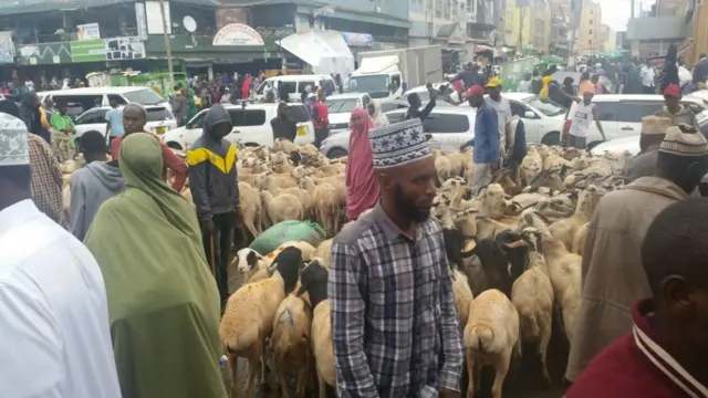 Ariga waxaa loo isticmaalaa udxiyada