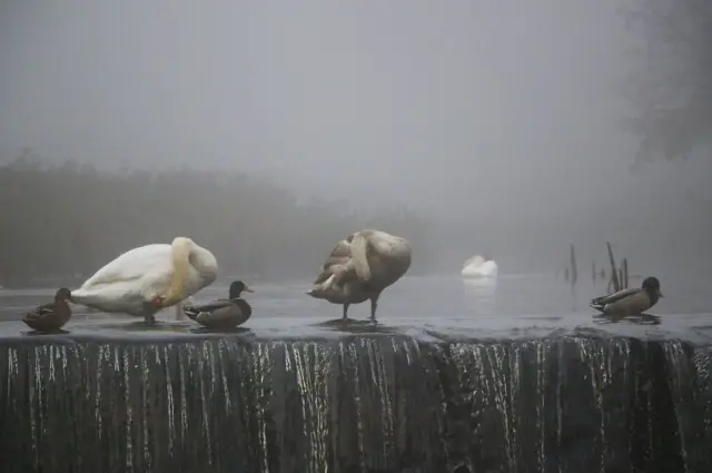 यह तस्वीर लीसेस्टरशायर के न्यूटाउन लिनफोर्ड की है, जिसे वीना महाराज ने ली है.