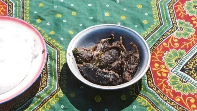 Приготовленные крысы