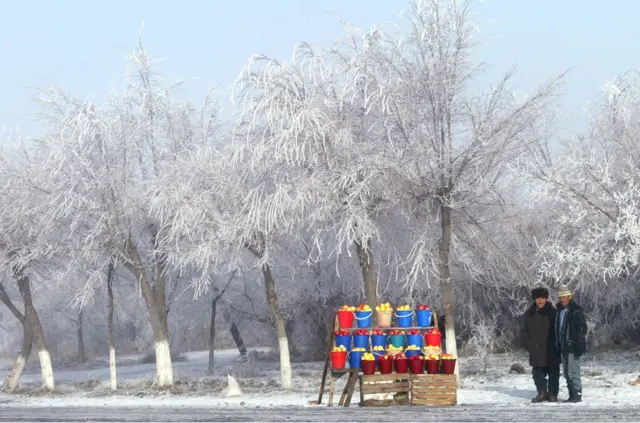 古丝绸之路的贸易通道将新疆野苹果从哈萨克斯坦传播至欧洲和中国，最后传至北美。