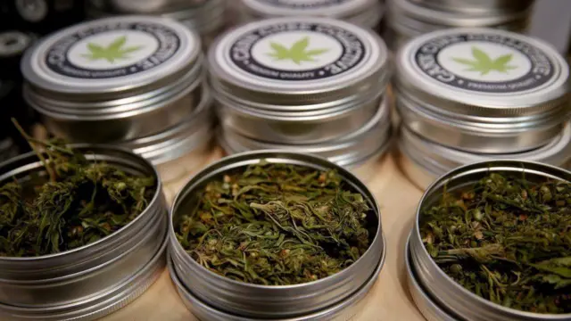 પ્રતીકાત્મક તસવીર