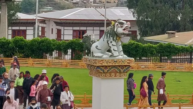 વિદેશી પ્રવાસીઓ