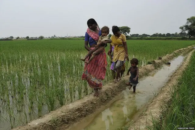 भारतीय किसान