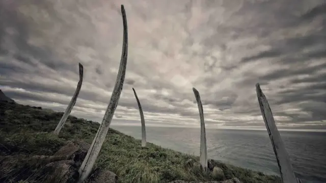 Aleja kitovih kostiju, Rusija