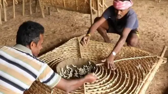 ভারত ব্যাঙ্গালোর পানি