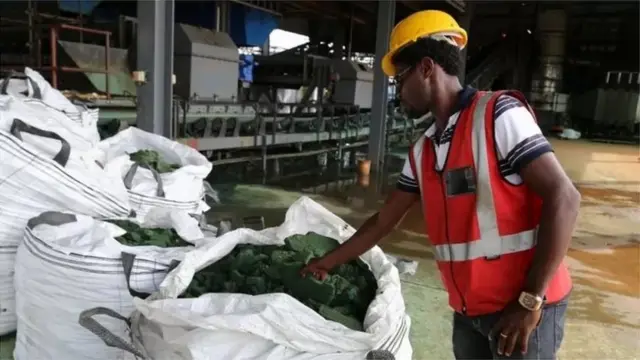 સૌર ઉર્જા