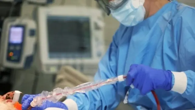 коронавірус