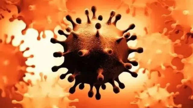 પ્રતીકાત્મક તસવીર