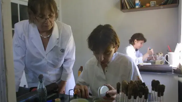 معهد إليافا