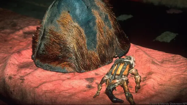 कथित तौर पर नेपाल में मिले एक येति की खोपड़ी और हाथ