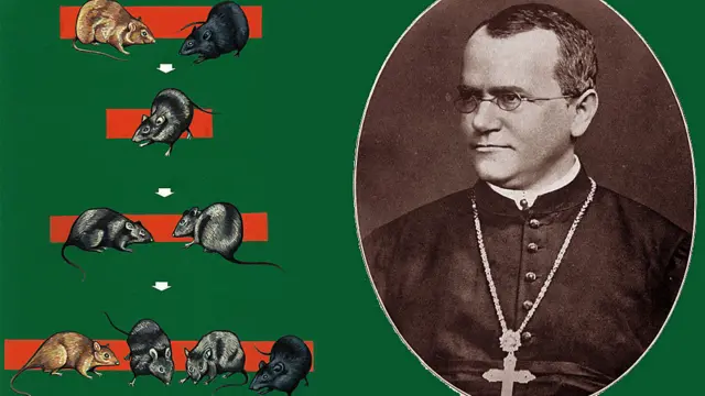 Gregor Mendel