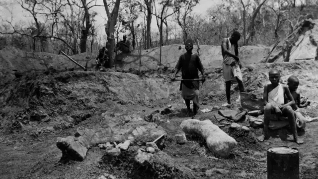 Histrically, Western scientists have often sponsored digs in poorer parts of the world, then sent the fossils back to their own countries (Credit: Alamy)