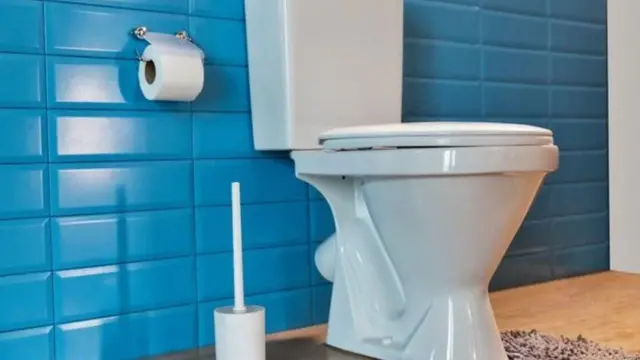 Rus qoramagizlar bilan uy qurilishi xususiy jinsiy aloqa