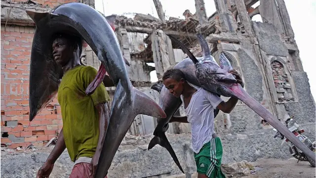 риба марлін