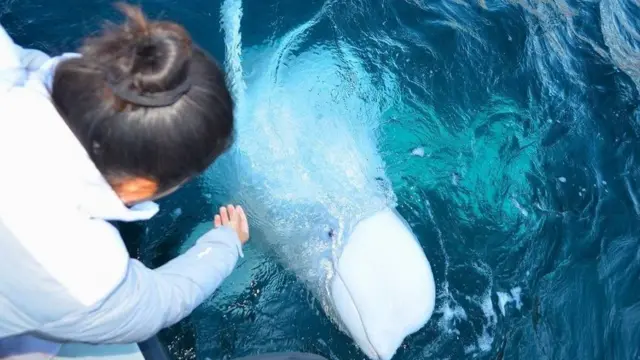 মানুষের সাহচর্য পছন্দ করে ভালদিমির