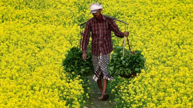 ભારતનો ખેડૂત