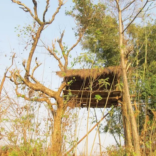 টোটোপাড়ার আদিম অধিবাসীদের একটি কুঁড়েঘর।
