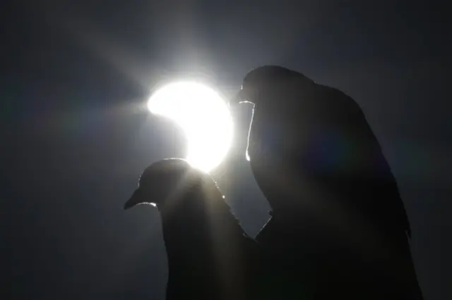 ปรากฏการณ์สุริยุปราคาบางส่วนในกรุงพนมเปญของกัมพูชา