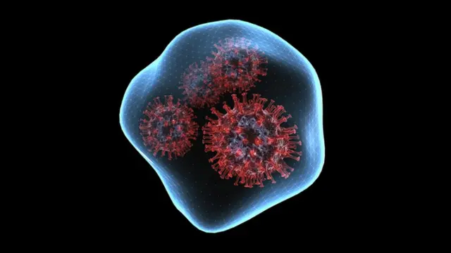 கொரோனா வைரஸ்