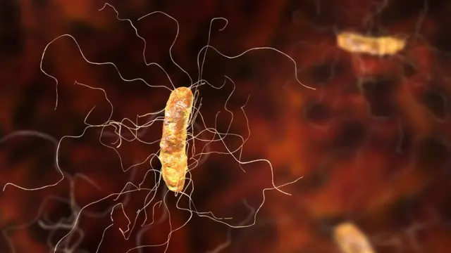 Clostridium difficile