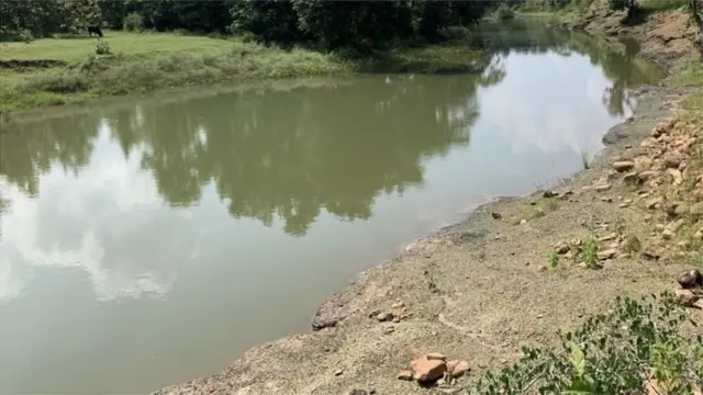 బక్స్‌వాహా అటవీ ప్రాంతం