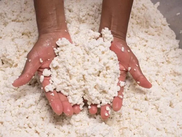 Baaduu Aggituun aannan ree'ootaa irraa qopheessaa turte keessaa