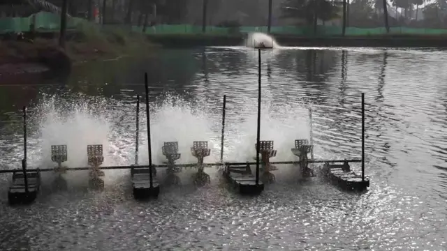 భీమవరం పట్టణం