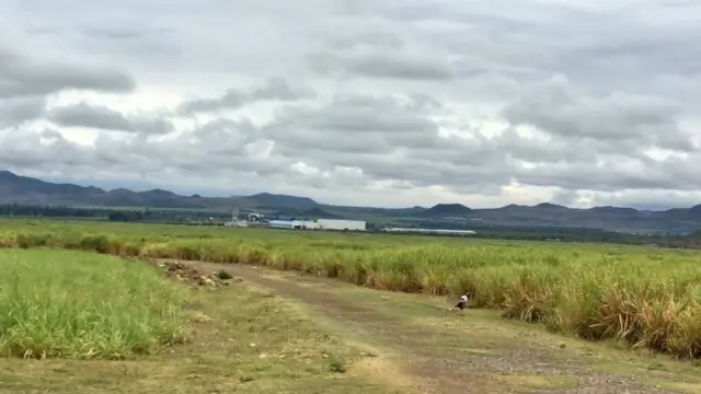 Shonkoora Warshaa Wanjii gartokkeesaa