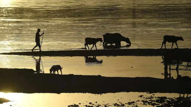 راوی ریور فرنٹ