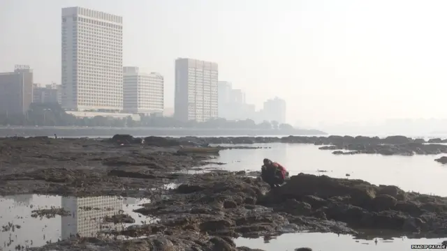 मुंबईचा सागरी किनारा