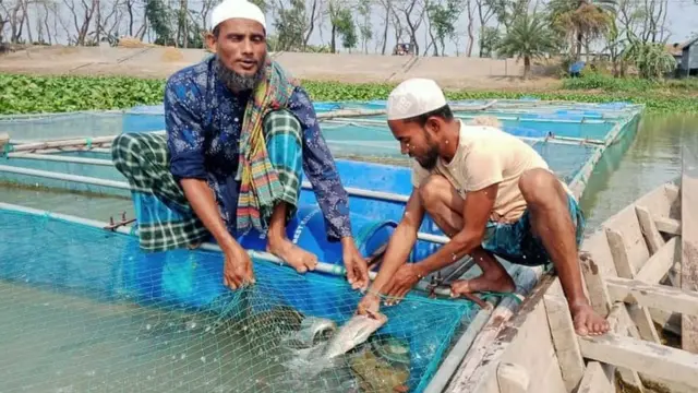 চাষীদের প্রশিক্ষণ দিচ্ছে নানা সংস্থা