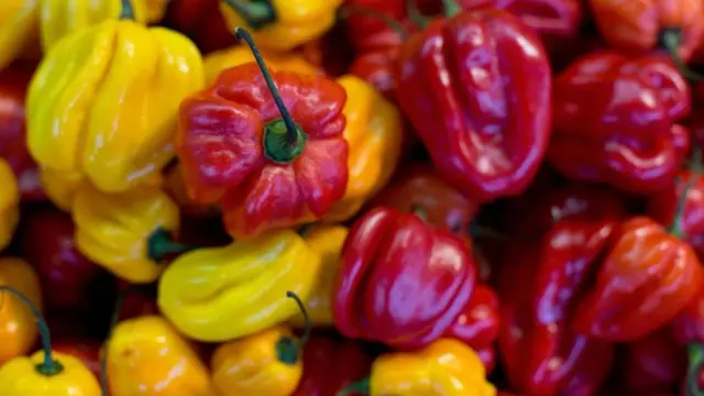 مجموعة من حبات الفلفل الأحمر