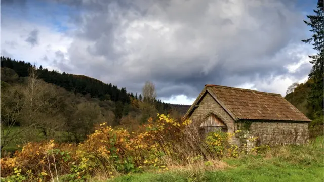 Сарай на берегу реки, поросший зеленью