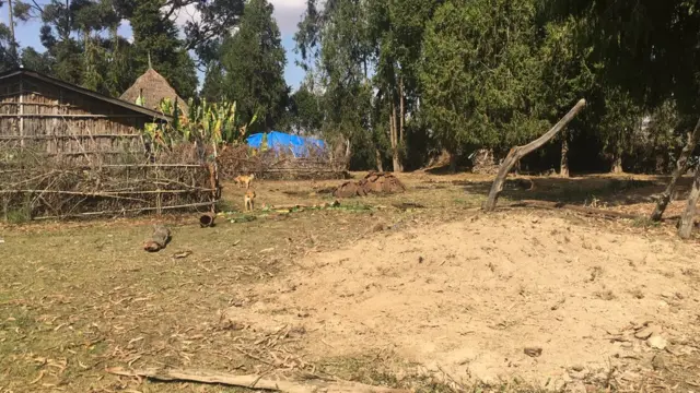 Bool'a reeffi abbaafi ilmaa qotamee keessaa baafame