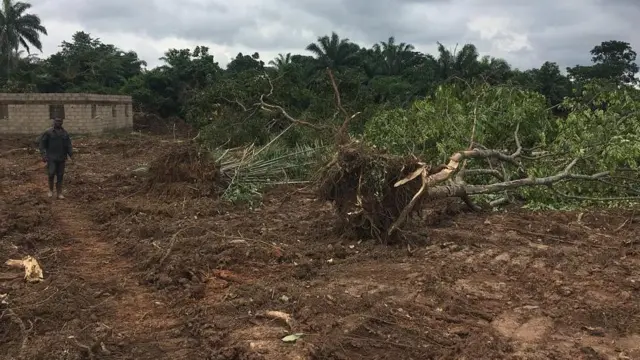 Ọhịa a na-asụchasị