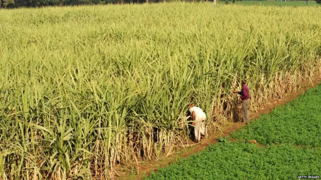 ਕਿਸਾਨ ਅਤੇ ਟੈਕਸ