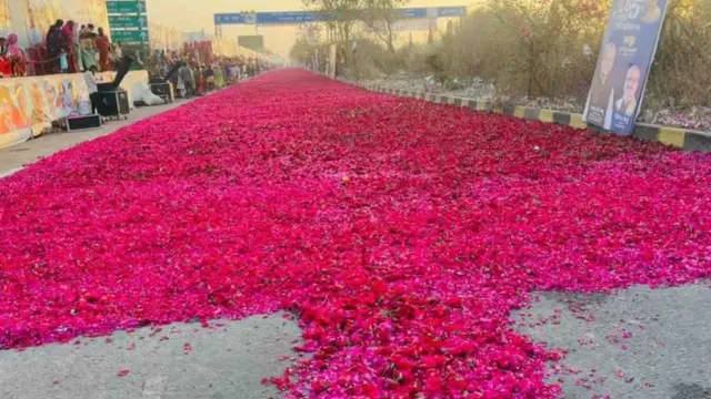 सड़क पर बिछाए गए गुलाब के फूल