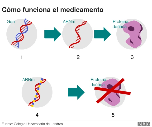 Paso a paso: cómo funciona el medicamento
