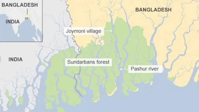 सुंदरबन