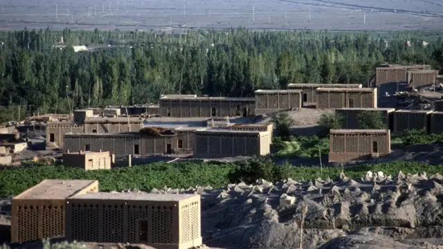 晾晒葡萄干的荫房