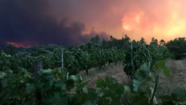 Пожар в Португалии