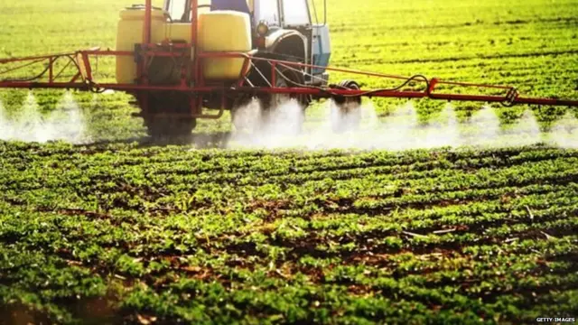 कीटनाशक का इस्तेमाल