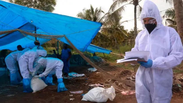 बर्ड फ्लू