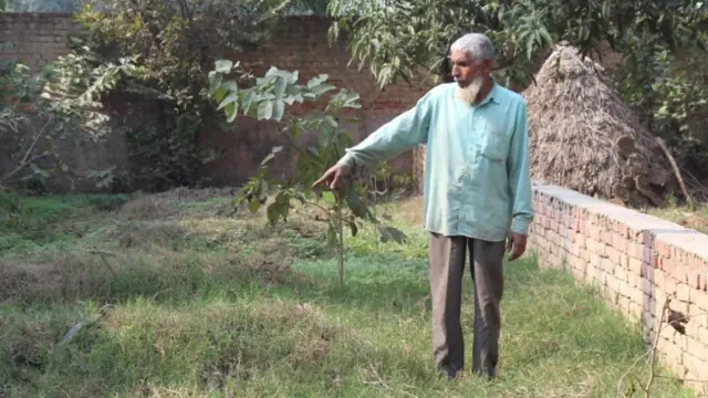 షబ్నమ్ మామ