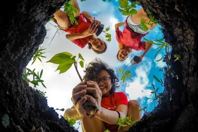 A view from a hole in the ground showing young people planting saplings