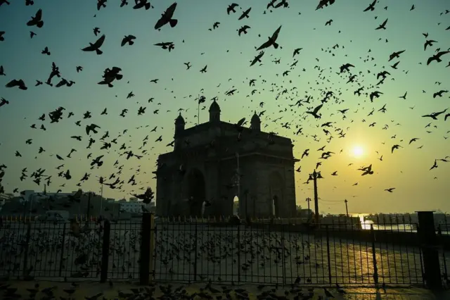 Pigeons are silhouetted against the sky around a large archway