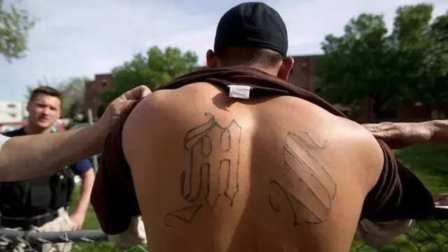 مارا سلواتروچا