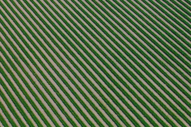 Фото ферм Австралії